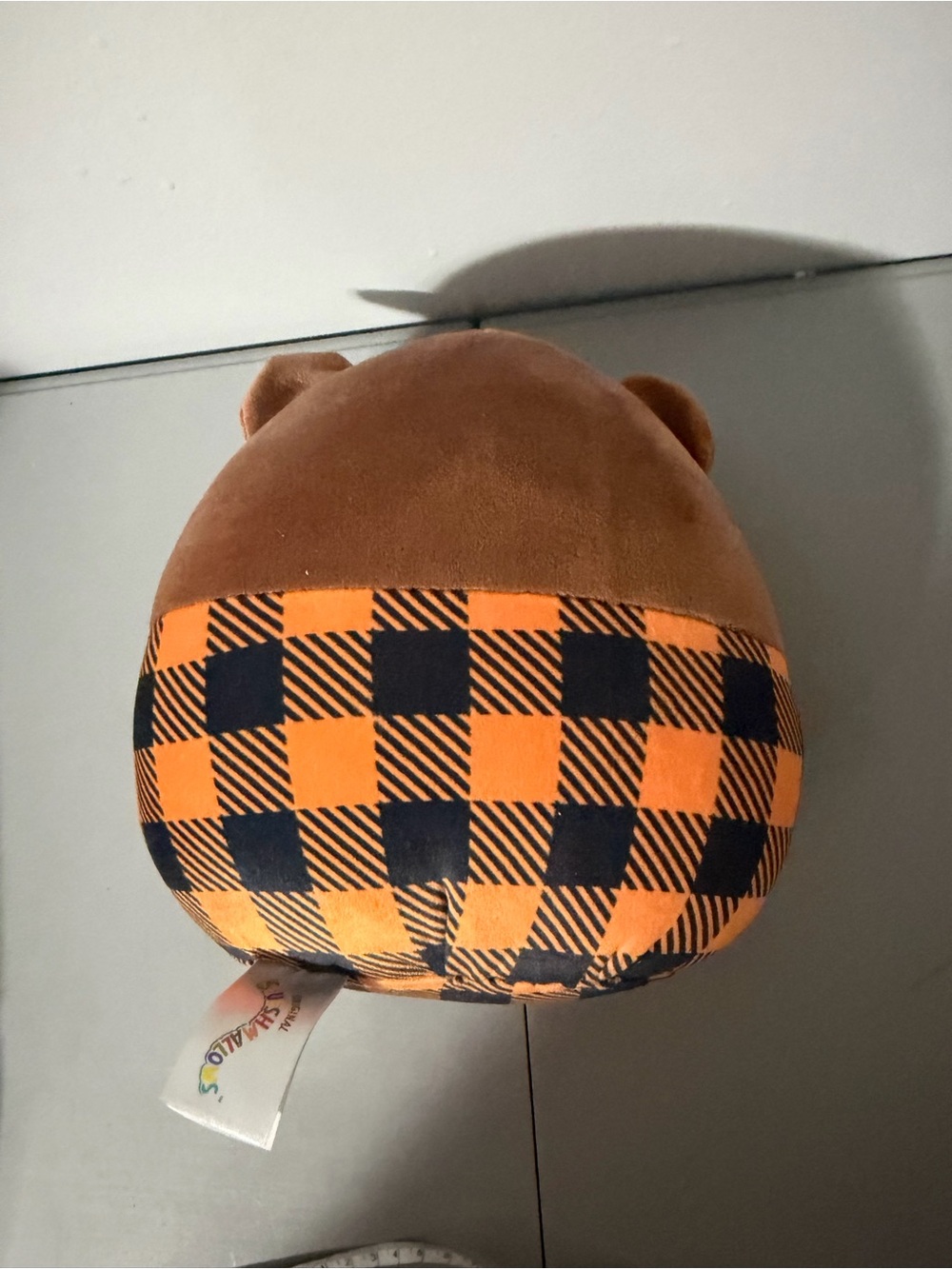 Omar the Grizzly Bear Squishmallow Official Fall Harvest Squad Collection 7.5” - Picture 8 of 10